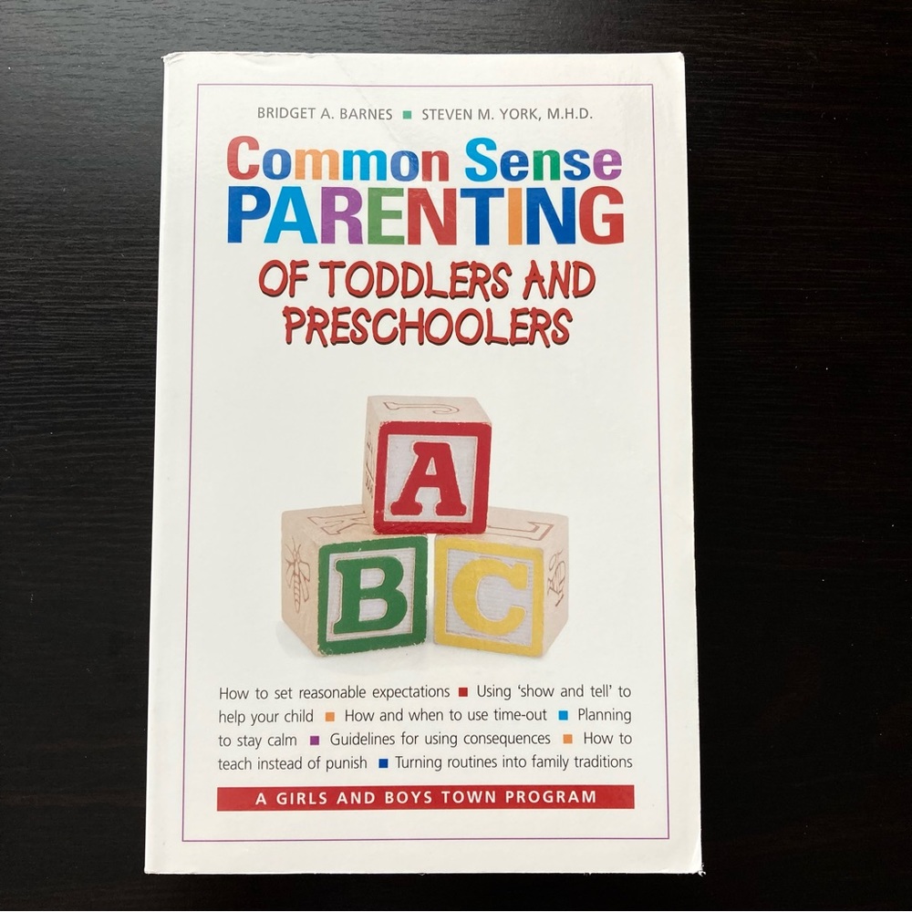 NEW Common Sense Parenting Book